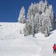 Detaillierte Infos zum Skiurlaub im Skigebiet Familienschiberg St. Jakob im Walde