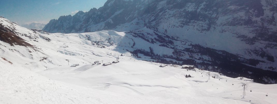 Blick über das Teilgebiet Grindelwald First