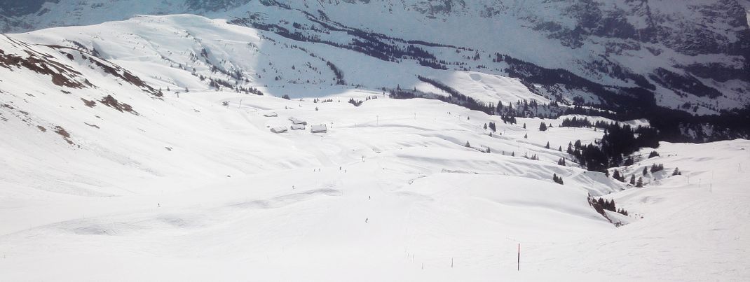 Blick auf Grindelwald First