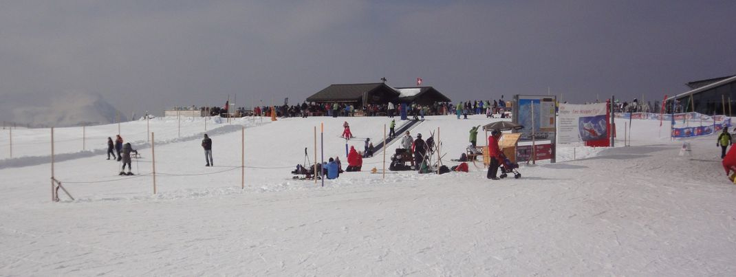 Review about Grindelwald Männlichen Wengen - Category: Beginner