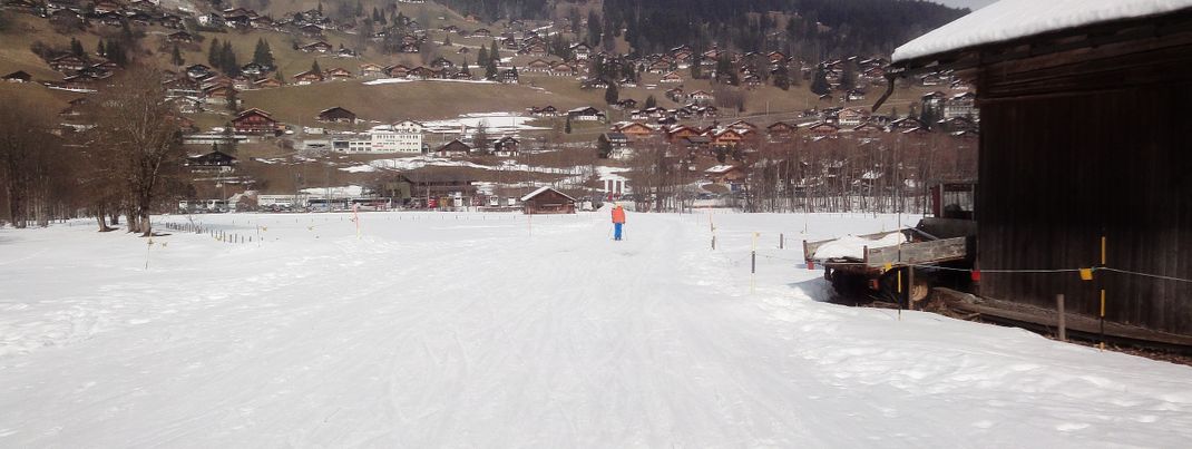 Review about Grindelwald Männlichen Wengen - Category: Service