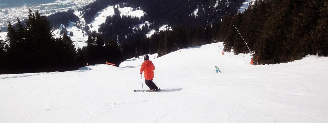 Review about Grindelwald Männlichen Wengen - Category: Beginner