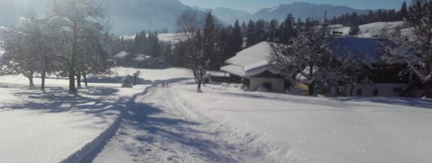 General information about your stay at Ferienhaus Rohrmoos