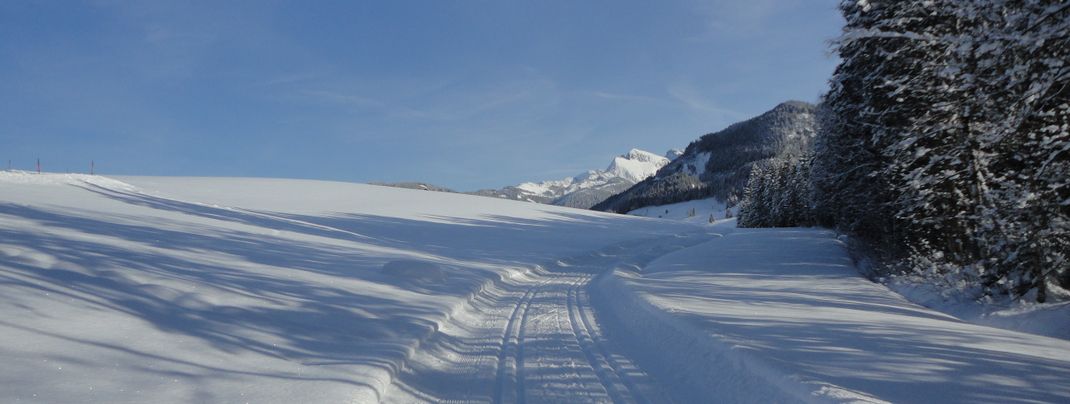 General information about your stay at Ferienwohnung Ronacher