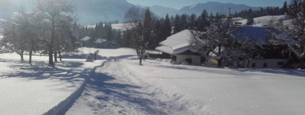 General information about your stay at Ferienhaus Rohrmoos