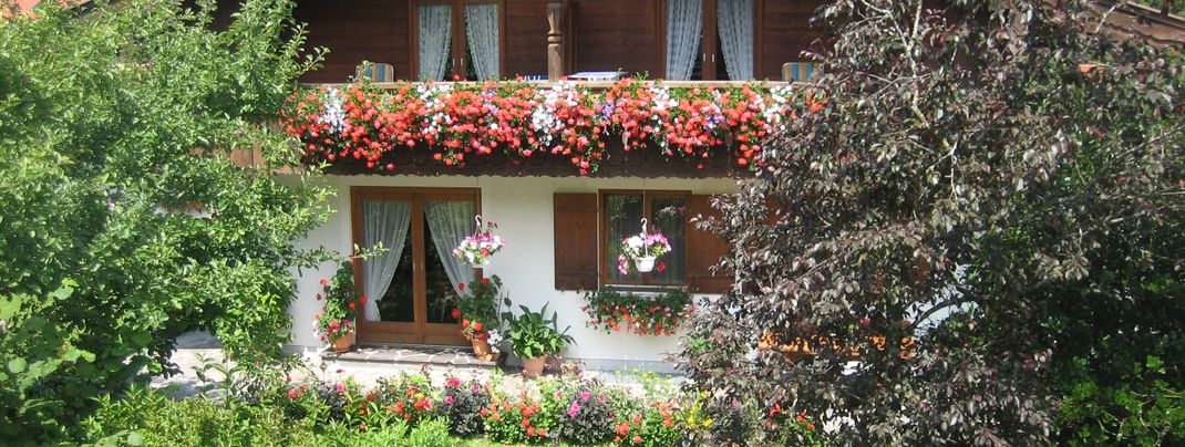 Gästehaus Proisl / im Sommer