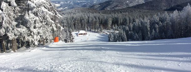 Information about the ski resort Haldenköpfle