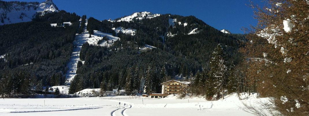 Haus Diana mit Hahnenkamm
