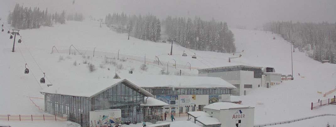 Seit Dienstag schneit es fast durchgehend am Arber im Bayerischen Wald. (Webcambild vom 19.1.)