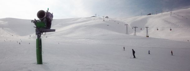 Information about the ski resort Grindelwald - Wengen