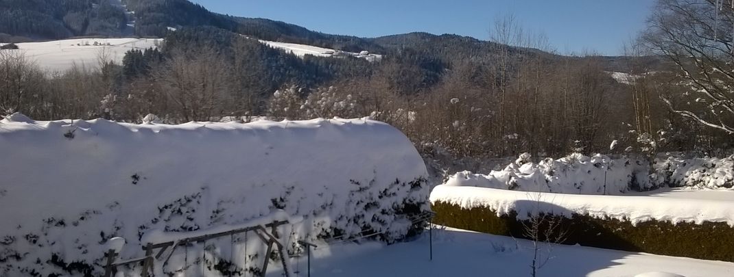 General information about your stay at Ferienhaus Völkle