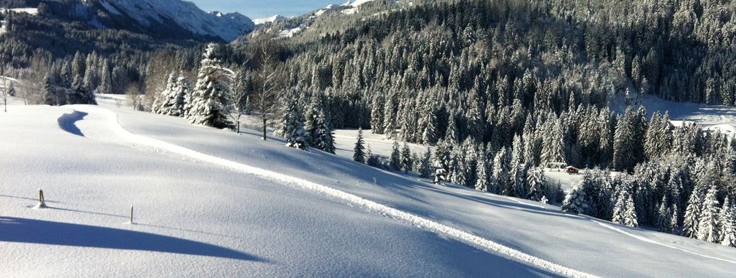 General information about your stay at Gästehaus Boersch