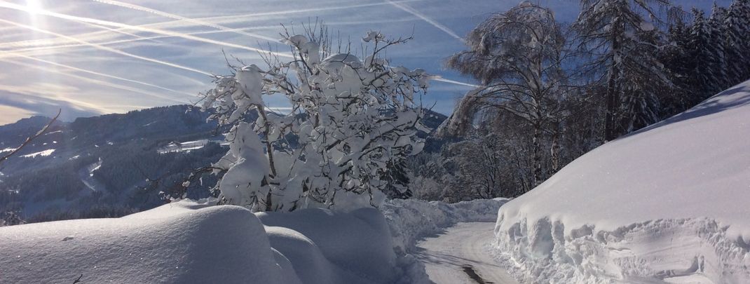 Detaillierte Infos zur Unterkunft Haus Erika