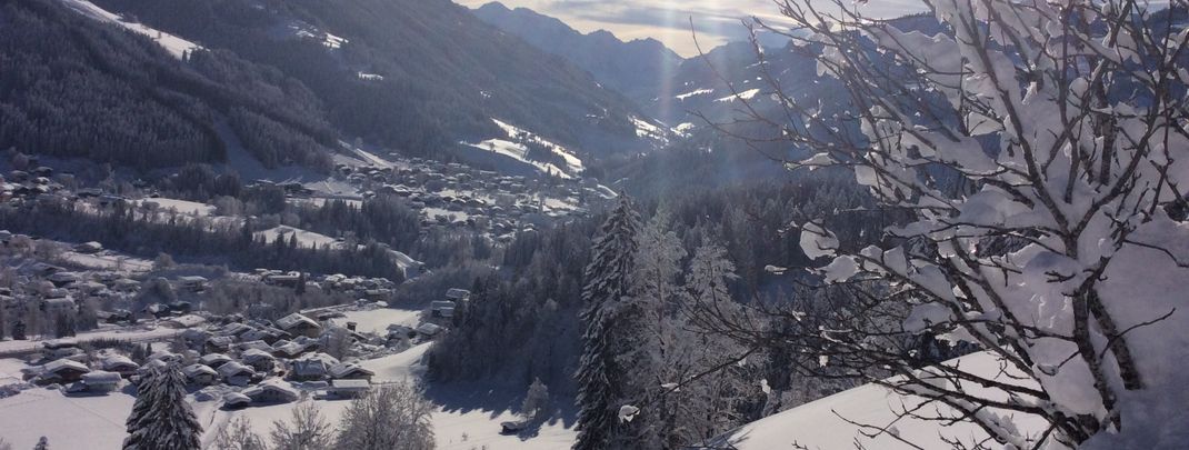 Detaillierte Infos zur Unterkunft Haus Erika