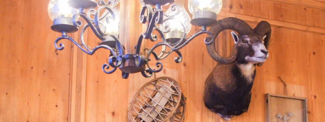 General information about your stay at Gasthof Tenne