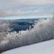 Information about the ski resort Stratton Mountain Resort