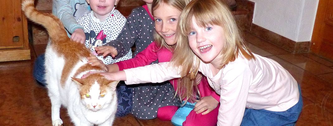 General information about your stay at Hotel Schloß Thannegg-Moosheim