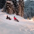 Ein Abenteuer für die ganze Familie: die Naturrodelbahn Aeroplan in Gastein.