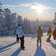 Information about the ski resort Stratton Mountain Resort