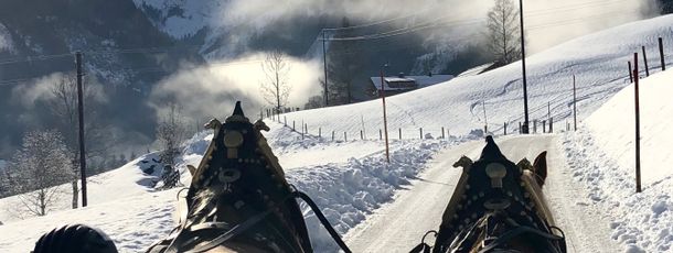 Detaillierte Infos zur Unterkunft Abelhof Appartements an der Skipiste in Rohrmoos