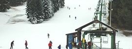 Information about the ski resort Boyce Park Ski Area