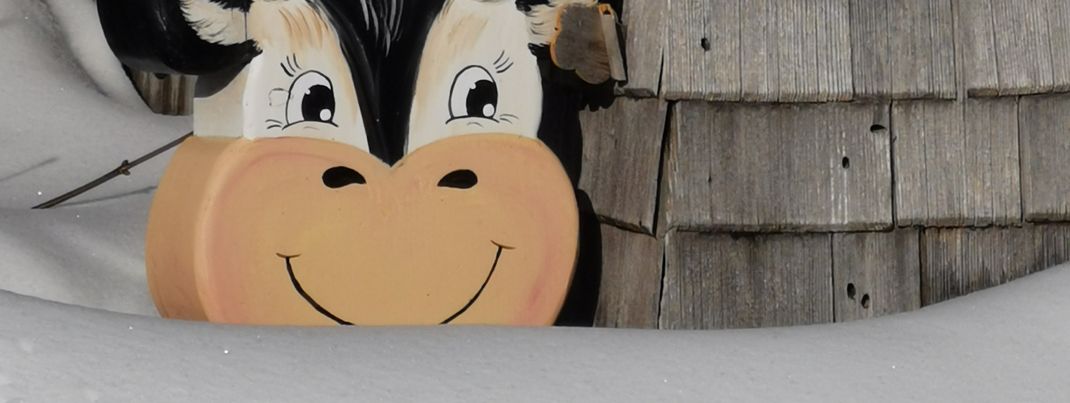 Detaillierte Infos zur Unterkunft Haldenmichelhof