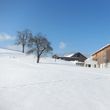 General information about your stay at Schweizer Heidi und Johann