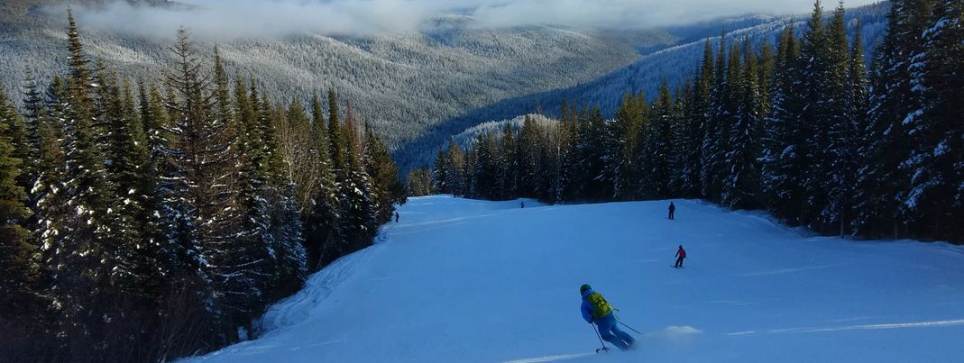Von der Piste Calliper Ridge aus können zahlreiche Tree Runs befahren werden