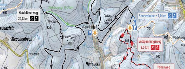 Loipenplan Steinach Hämmerer Ebene