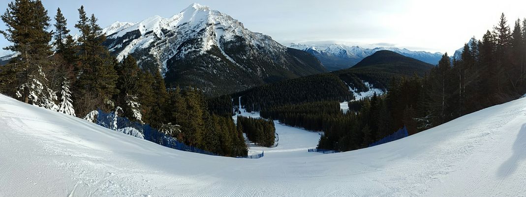 Auch am Mt. Norquay genießt man ein tolles Panorama
