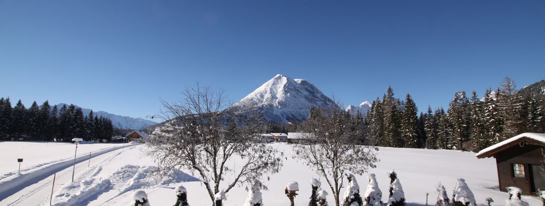 Detaillierte Infos zur Unterkunft Haus Waldruh