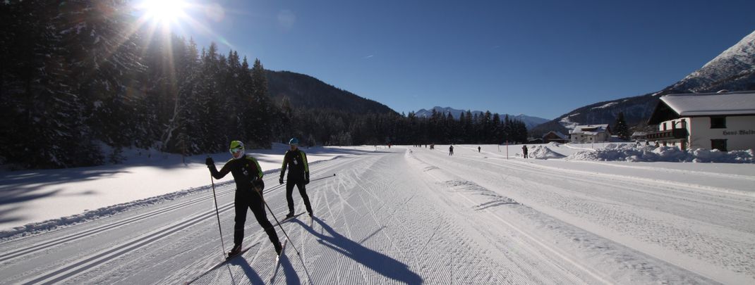 Detaillierte Infos zur Unterkunft Haus Waldruh