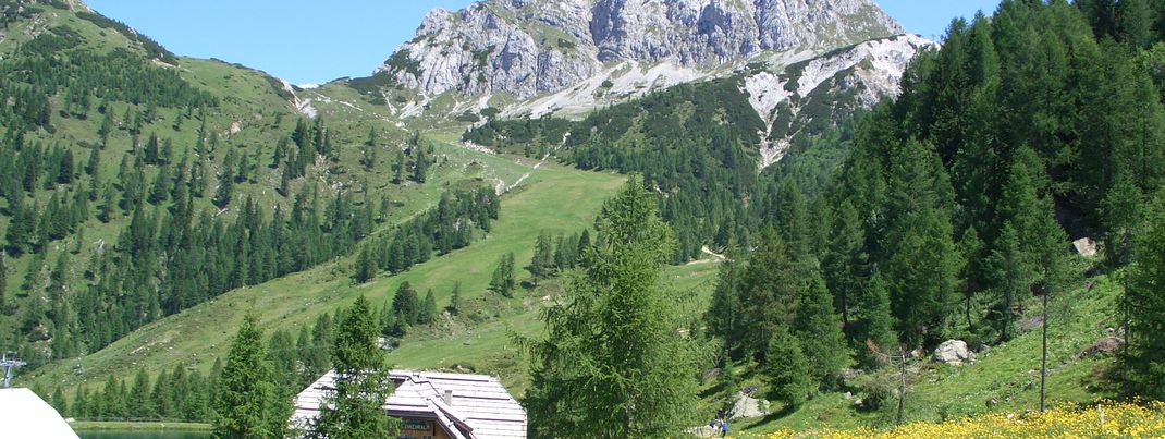 Offer Summer special on NASSFELD June-September 2026