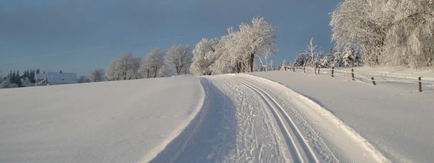Information on Cross-Country Skiing at Winterberg Altastenberg