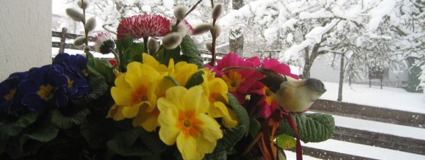 General information about your stay at Fewo Haus Karin