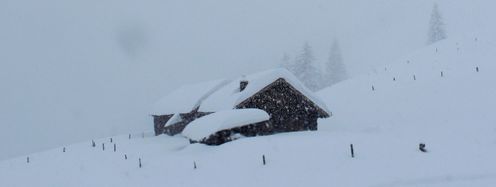 Dichtes Schneetreiben in den Bergregionen im Salzburger Land, wie hier bei Werfenweng an der Hackelhütte.