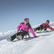 Detaillierte Infos zum Skiurlaub im Skigebiet Plose Brixen