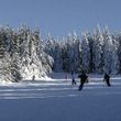 Information about the ski resort Hahnenklee Bocksberg