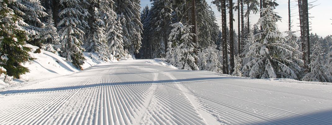 Wer sich gleich früh morgens aufmacht, den erwarten frisch präparierte Pisten am Wurmberg.
