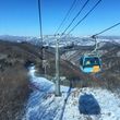 Information about the ski resort Yongpyong