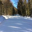 Information on Cross-Country Skiing at Cross Country Center Grainet - Obergrainet - Haidel