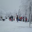 General information about your stay at Suior Resort