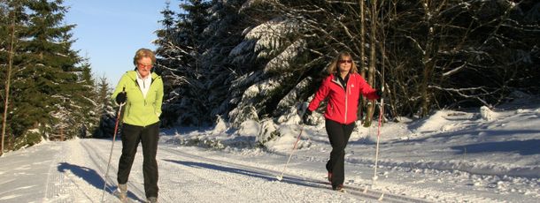 Am Bremberg bei Winterberg hast du fünf Loipen zur Auswahl.