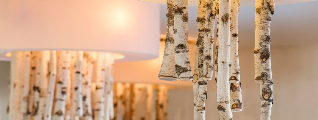 Detaillierte Infos zur Unterkunft Skithotel Saliter Hof