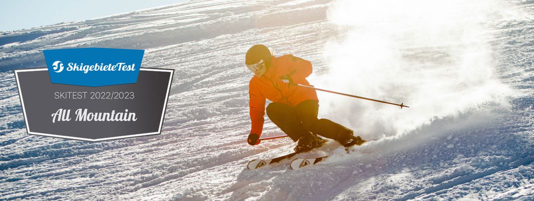 These are the winners of the All Mountain category at the WorldSkitest.