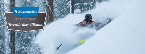 The results of the WorldSkitest in the category 