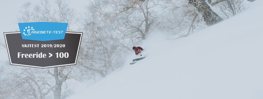 Skitest 2019/2020: Freeride-Modelle über 100 mm