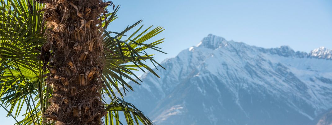Meraner Land in Südtirol: Fünf Skigebiete für jeden Wintersportler