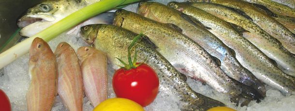 General information about your stay at Clubhotel Hochsauerland