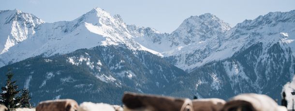 Detaillierte Infos zur Unterkunft Schlosshotel Fiss